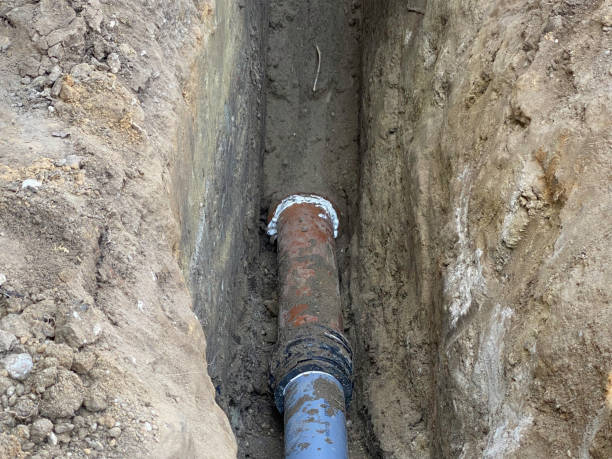Best Flood damage cleanup  in Mastic Beach, NY