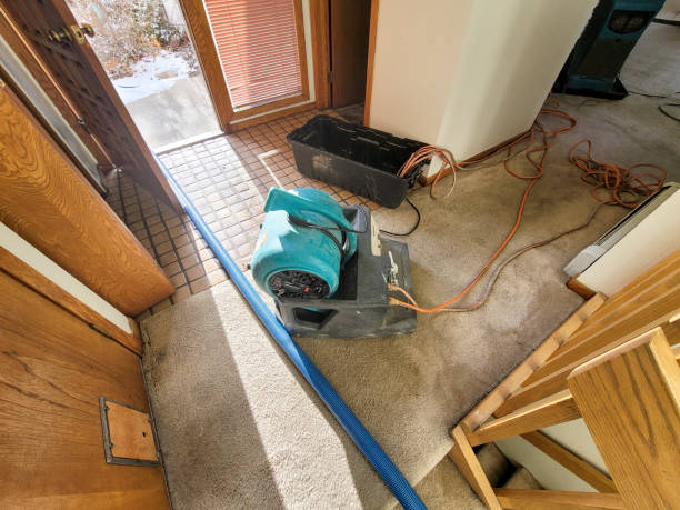 Best Sewage cleanup and water damage restoration  in Mastic Beach, NY