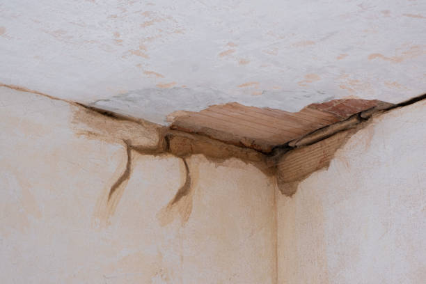 Best Professional water damage repair  in Mastic Beach, NY
