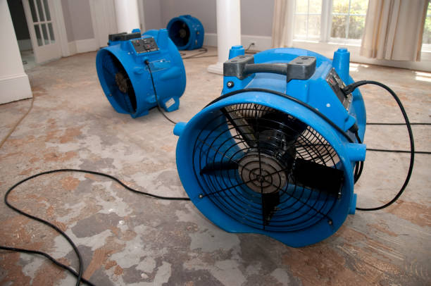 Mastic Beach, NY Water damage restoration Pros