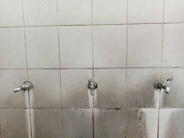 Best Water damage mitigation services  in Mastic Beach, NY