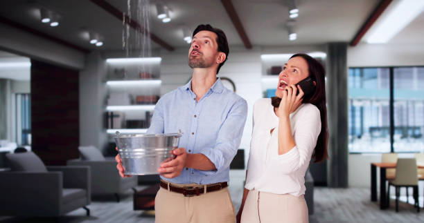 Best Flood restoration services  in Mastic Beach, NY